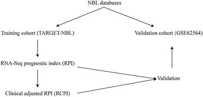 Development and Validation of an RNA-Seq-Based Prognostic Signature in Neuroblastoma